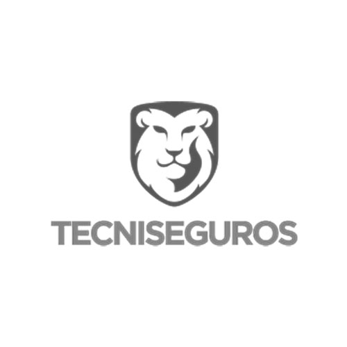 tecniseguros